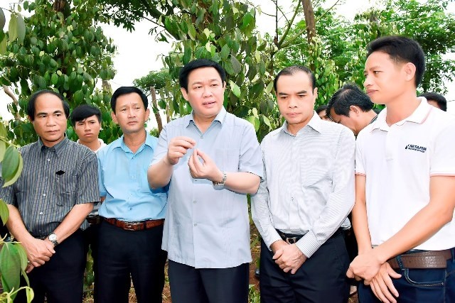 Вице-премьер Выонг Динь Хюэ совершил рабочую поездку в провинции Зялай - ảnh 1